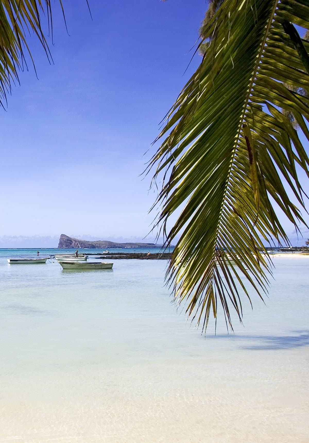 Northern Islands Catamaran Cruise 6